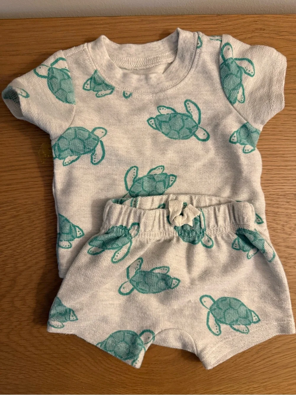 Carter's Teal and Seafoam Turtle Two-Piece Set